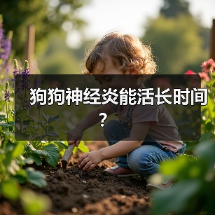 狗狗神经炎能活长时间?(图4) 狗狗神经炎能活长时间?(图4)