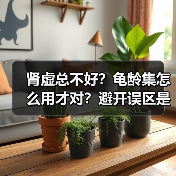 肾虚总不好?龟龄集怎么用才对?避开误区是关键(图2) 肾虚总不好?龟龄集怎么用才对?避开误区是关键(图2)