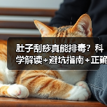 肚子刮痧真能排毒?科学解读+避坑指南+正确操作法(图1) 肚子刮痧真能排毒?科学解读+避坑指南+正确操作法(图1)