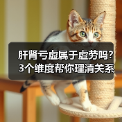 肝肾亏虚属于虚劳吗?3个维度帮你理清关系(图1) 肝肾亏虚属于虚劳吗?3个维度帮你理清关系(图1)