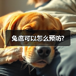 兔瘟可以怎么预防?(图2) 兔瘟可以怎么预防?(图2)