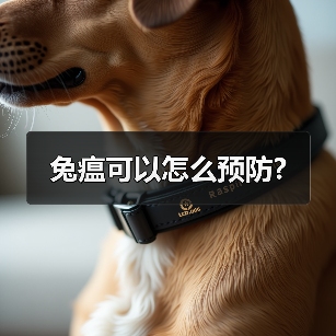 兔瘟可以怎么预防?(图3) 兔瘟可以怎么预防?(图3)