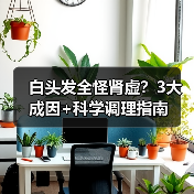 白头发全怪肾虚?3大成因+科学调理指南(图4) 白头发全怪肾虚?3大成因+科学调理指南(图4)