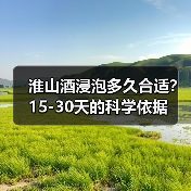 淮山酒浸泡多久合适?15-30天的科学依据(图3) 淮山酒浸泡多久合适?15-30天的科学依据(图3)