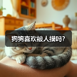 狗狗喜欢被人摸吗?(图3) 狗狗喜欢被人摸吗?(图3)
