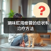 猫咪肛周瘘管的症状和治疗方法(图4) 猫咪肛周瘘管的症状和治疗方法(图4)