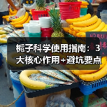 栀子科学使用指南：3大核心作用+避坑要点