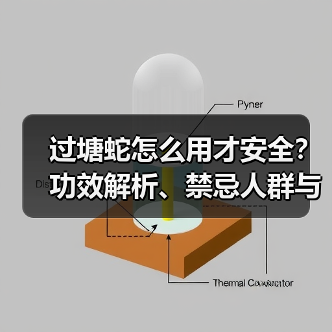 过塘蛇怎么用才安全?功效解析、禁忌人群与专业使用指南(图1) 过塘蛇怎么用才安全?功效解析、禁忌人群与专业使用指南(图1)
