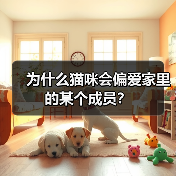 为什么猫咪会偏爱家里的某个成员?(图4) 为什么猫咪会偏爱家里的某个成员?(图4)