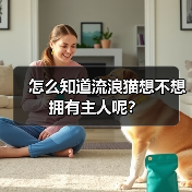 怎么知道流浪猫想不想拥有主人呢?(图2) 怎么知道流浪猫想不想拥有主人呢?(图2)
