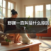 野猫一直叫是什么原因？