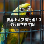 容易上火又脾胃虚?3步调理帮你平衡(图2) 容易上火又脾胃虚?3步调理帮你平衡(图2)