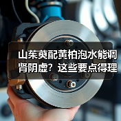 山茱萸配黄柏泡水能调肾阴虚?这些要点得理清(图2) 山茱萸配黄柏泡水能调肾阴虚?这些要点得理清(图2)