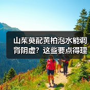 山茱萸配黄柏泡水能调肾阴虚?这些要点得理清(图4) 山茱萸配黄柏泡水能调肾阴虚?这些要点得理清(图4)