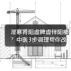 湿寒肾阳虚脾虚伴阳痿？中医3步调理帮你改善(图4)