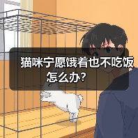 猫咪宁愿饿着也不吃饭怎么办？