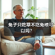 兔子只吃草不吃兔粮可以吗？(图2)