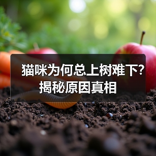 猫咪为何总上树难下？揭秘原因真相(图2)