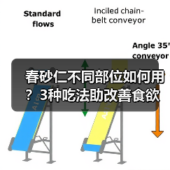 春砂仁不同部位如何用?3种吃法助改善食欲不振(图3) 春砂仁不同部位如何用?3种吃法助改善食欲不振(图3)