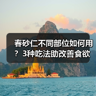春砂仁不同部位如何用?3种吃法助改善食欲不振(图4) 春砂仁不同部位如何用?3种吃法助改善食欲不振(图4)