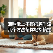 猫咪晚上不停闹腾？这几个方法帮你轻松搞定(图2)
