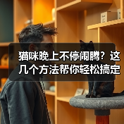 猫咪晚上不停闹腾？这几个方法帮你轻松搞定(图4)