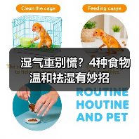 湿气重别慌？4种食物温和祛湿有妙招