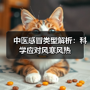 中医感冒类型解析:科学应对风寒风热(图4) 中医感冒类型解析:科学应对风寒风热(图4)
