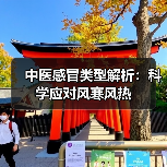 中医感冒类型解析:科学应对风寒风热(图2) 中医感冒类型解析:科学应对风寒风热(图2)