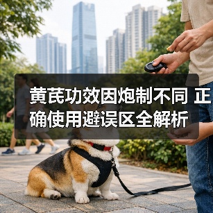 黄芪功效因炮制不同 正确使用避误区全解析(图3) 黄芪功效因炮制不同 正确使用避误区全解析(图3)