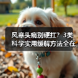 风寒头痛别硬扛?3类科学实用缓解方法全在这(图1) 风寒头痛别硬扛?3类科学实用缓解方法全在这(图1)