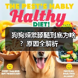 狗狗频繁舔腿到底为啥?原因全解析(图2) 狗狗频繁舔腿到底为啥?原因全解析(图2)