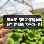 瘀血阻络证如何科学调理?这些误区千万别踩(图3) 瘀血阻络证如何科学调理?这些误区千万别踩(图3)