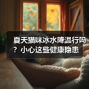 夏天猫咪冰水降温行吗?小心这些健康隐患(图4) 夏天猫咪冰水降温行吗?小心这些健康隐患(图4)