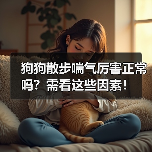狗狗散步喘气厉害正常吗?需看这些因素!(图4) 狗狗散步喘气厉害正常吗?需看这些因素!(图4)