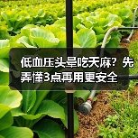 低血压头晕吃天麻?先弄懂3点再用更安全(图4) 低血压头晕吃天麻?先弄懂3点再用更安全(图4)