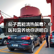 茄子真能清热解毒?中医和营养给你讲明白(图1) 茄子真能清热解毒?中医和营养给你讲明白(图1)