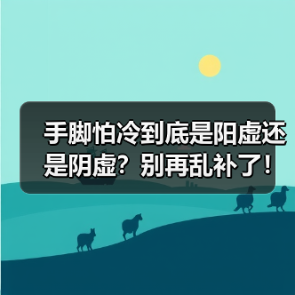手脚怕冷到底是阳虚还是阴虚？别再乱补了！(图3)