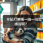 仓鼠打喷嚏一抽一抽是感冒吗？(图4)