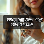 养暹罗猫前必看：优点和缺点全解析