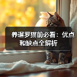 养暹罗猫前必看:优点和缺点全解析(图3) 养暹罗猫前必看:优点和缺点全解析(图3)