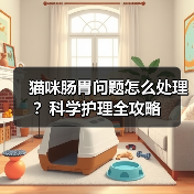猫咪肠胃问题怎么处理?科学护理全攻略(图2) 猫咪肠胃问题怎么处理?科学护理全攻略(图2)