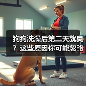 狗狗洗澡后第二天就臭?这些原因你可能忽略!(图1) 狗狗洗澡后第二天就臭?这些原因你可能忽略!(图1)