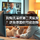 狗狗洗澡后第二天就臭?这些原因你可能忽略!(图2) 狗狗洗澡后第二天就臭?这些原因你可能忽略!(图2)