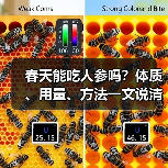 春天能吃人参吗?体质、用量、方法一文说清(图1) 春天能吃人参吗?体质、用量、方法一文说清(图1)