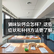 猫咪缺钙会怎样?这些症状和补钙方法要了解(图4) 猫咪缺钙会怎样?这些症状和补钙方法要了解(图4)