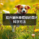 提升猫咪幸福感的四大科学方法(图3) 提升猫咪幸福感的四大科学方法(图3)