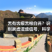 舌有齿痕舌根白苔?识别脾虚湿盛信号,科学调理有方法(图2) 舌有齿痕舌根白苔?识别脾虚湿盛信号,科学调理有方法(图2)