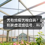 舌有齿痕舌根白苔?识别脾虚湿盛信号,科学调理有方法(图4) 舌有齿痕舌根白苔?识别脾虚湿盛信号,科学调理有方法(图4)