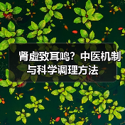 肾虚致耳鸣?中医机制与科学调理方法(图2) 肾虚致耳鸣?中医机制与科学调理方法(图2)